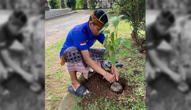 Karang Taruna Gianyar Tanam Pohon di Pura Samuan Tiga sebagai Komitmen Pelestarian Lingkungan